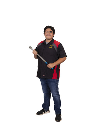 Automotive CWHS