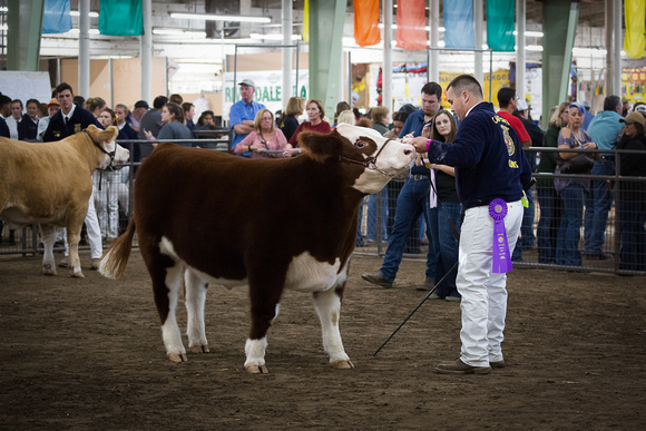 Fresno Fair 2017-6291
